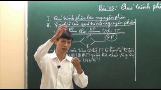 Nguyên phân - Phần 1.3
