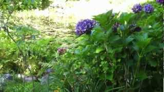 Annapolis Royal Garden 3