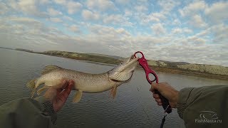 Рыбалка на Дону в ноябре. Спиннинг. Джиг. [FishMasta.ru]
