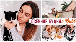 ЧТО ПРОИСХОДИТ С НАШИМ САНУЗЛОМ? НОВОСТИ РЕМОНТА И ДЕЛИКАТНЫЕ РАЗГОВОРЫ