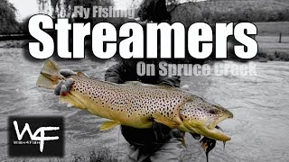 W4F - Fly Fishing Streamers on Spruce Creek "Tanaka Your Socks Off and W4F Rainbow Bite"