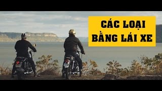[Terocket] - Các loại bằng lái xe ô tô, xe máy, mô tô, xe tải, xe kéo container? - Vlog #7 ✔