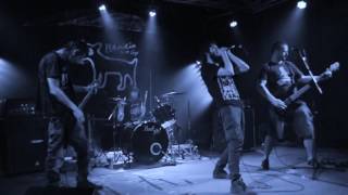 Grog live@Benicio Live Gigs