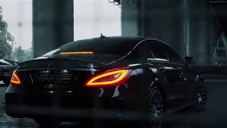 ЛИТВИНЕНКО - Папаграмм (CLS63 AMG) qurduli simgerebi