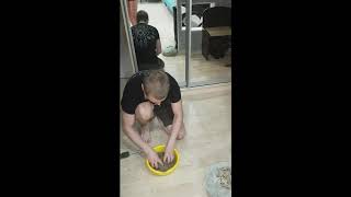 ФОН В ТЕРРАРИУМ ИЗ ЯИЧНЫХ ЛОТКОВ