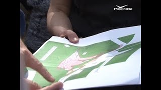 В Прибрежном почти 1000 дачников владеют участками на территории государственного лесного фонда