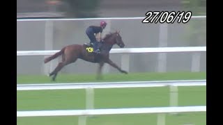 香港 賽馬 R8 忠心勇士現處虛分 作膽 拖 極速王 紅心傾 友瑩囍
