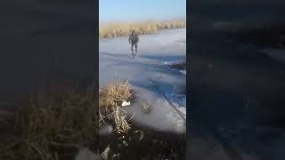 Потому что долб@ёб...