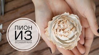 Цветы из фоамирана Пион /Peony Flowers foam