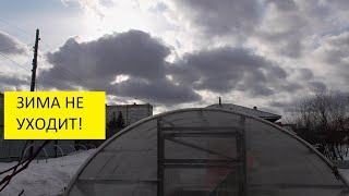 Морозы продолжаются! Обзор погоды, теплицы с томатами 30 марта. Ольга Чернова