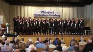 Mit Sechsundsechzig Jahren Udo Jürgens/ Arr. olli Gies/Männerchor