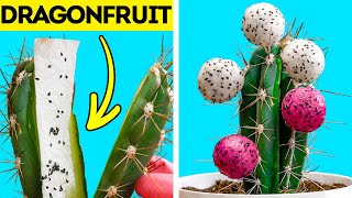 DIY Gardening Tips. Easy Ways To Grow Seeds. HACKS TO GROW YOUR OWN PLANTS