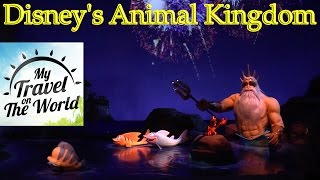 Парк Disney's Animal Kingdom, Америка, Флорида, Орландо