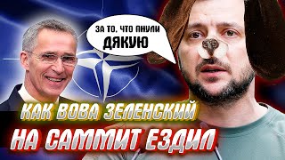 ЗЕЛЕНСКИЙ НА САММИТЕ НАТО или Бобик в гостях у Барбоса