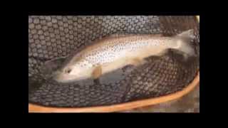 East Branch of the Croton River - Winter Trout Fishing