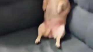 Videos de pitodiego #10