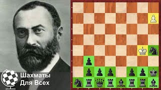 Шахматы. ПЕШКА ПРЕВРАЩАЕТСЯ В ...
