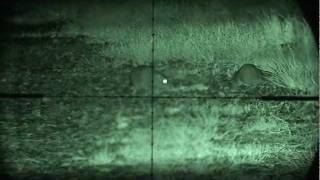 ratting hw100, sony camcorder and nite hunter 300mw laser i/r