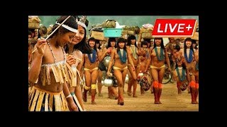 LIVE 24/7 Tears of the Amazon | Documetary 아마존의 눈물 #1