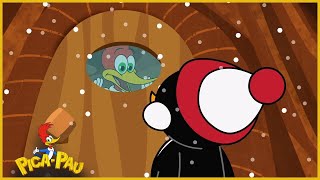 Pica-Pau em Português | Está frio | Desenhos para crianças