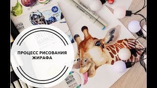 Обзор SKETCHMARKER Basic 1 set 36 |  Процесс рисования жирафика маркерами