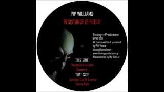 Pip Williams - Future Past