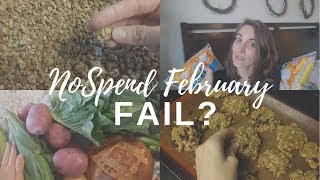 NOSPENDUARY 2018 Week 1 VLOG