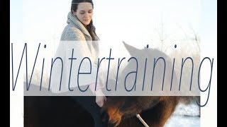 Academic Art of Riding: Work in Hand - Winter Training