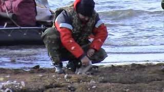Озеро Таймыр 2003г. (часть 1)