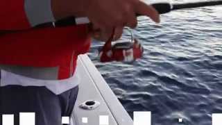 COLMIC PESCA AI CALAMARI CON MANCINI E SPOTI