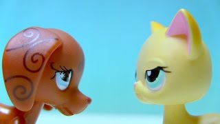 Littlest Pet Shop: Sweetheart (Episode #5: Forgiveness and Mystery)