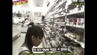 2NE1TV Sub Español Season 1 Episodio 9 (4/5)