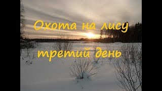 Охота на лису 3/3 день. Закрытие сезона 2017-2018 г..