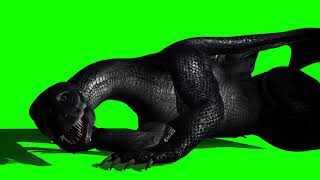 FREE HD Green Screen SAD DRAGON