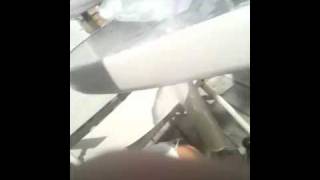Fly vagina