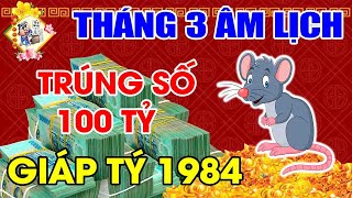 Tử Vi Tuổi Giáp Tý 1984 Tháng 3 ÂL HÚT CẠN LỘC TRỜI - Giàu Nứt Tường Đổ Nhà - Tiền Chất Đầy Két