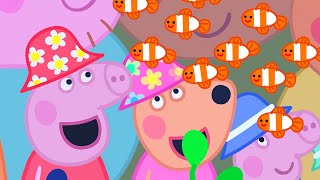 Peppa Pig Français ? La Grande Barrière De Corail | Dessin Animé