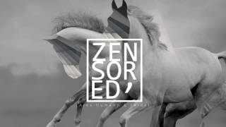 Alex Humann - VISIONS (Faidel remix) | Zensored album I Etoka Records