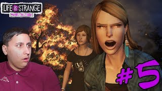 Life Is Strange: Before The Storm #5 ► Пробуждение ► Как утащить винишко?!