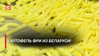 Идеальный картофель фри! | Где производят полуфабрикаты из картофеля?