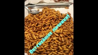Треш видео. Какие тараканы и личинки на вкус в Тайланде. Тайские деликатесы или поедание насекомых.