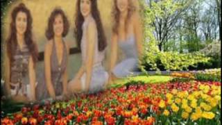 Sparx - "Mandame Flores"