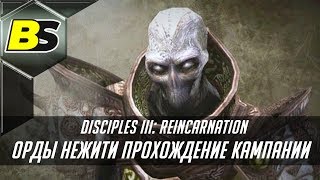 Disciples 3 Reincarnation Орды Нежити прохождение кампании #4