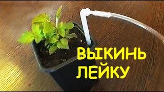 ЦВЕТЫ скажут СПАСИБО! Автоматический ПОЛИВ комнатных растений. Капельный полив по таймеру.