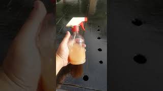 Como fazer perfume para carros barato e facil