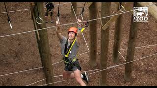 Cincinnati Zoo’s New Dornette Kanga’ Klimb Aerial Adventure Course Opens