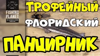 Fishing Planet прохождение | Трофейный Флоридский Панцирник | Флорида, Эверглейдс