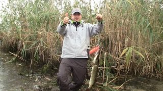 Ловля щуки на Днепре и Конке (Казачьи лагеря) Трофейчик 5,6 кг!)