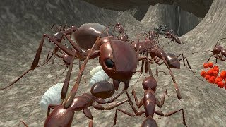 Ant Simulation 3D Insect Survival (by hksdev) Android Gameplay [HD]