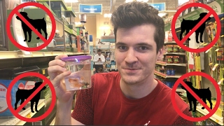 NO PET VET!?